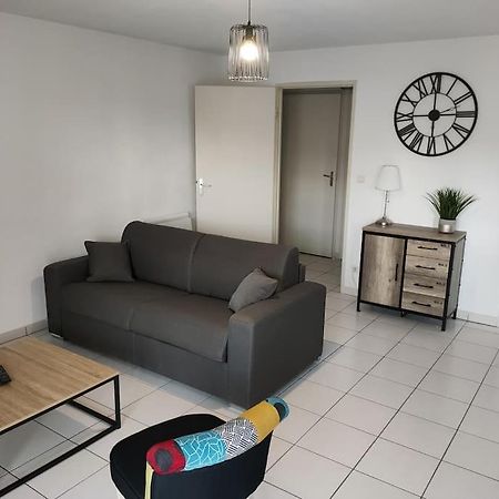 Spacieux Et Joli Appartement De 2 A 4 Personnes • Parking • Wifi Fenouillet  Экстерьер фото