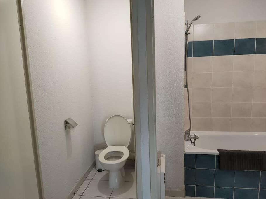 Spacieux Et Joli Appartement De 2 A 4 Personnes • Parking • Wifi Fenouillet  Экстерьер фото