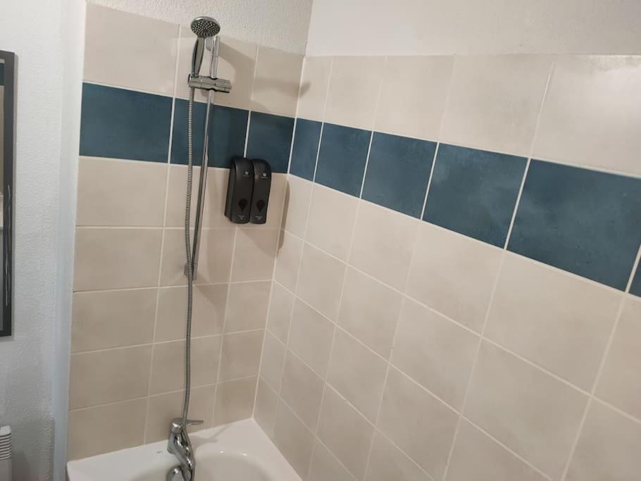 Spacieux Et Joli Appartement De 2 A 4 Personnes • Parking • Wifi Fenouillet  Экстерьер фото